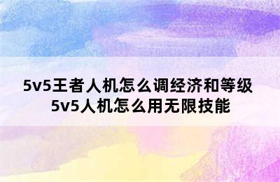 5v5王者人机怎么调经济和等级 5v5人机怎么用无限技能